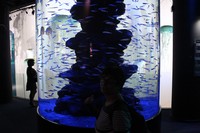 img_0052.jpg